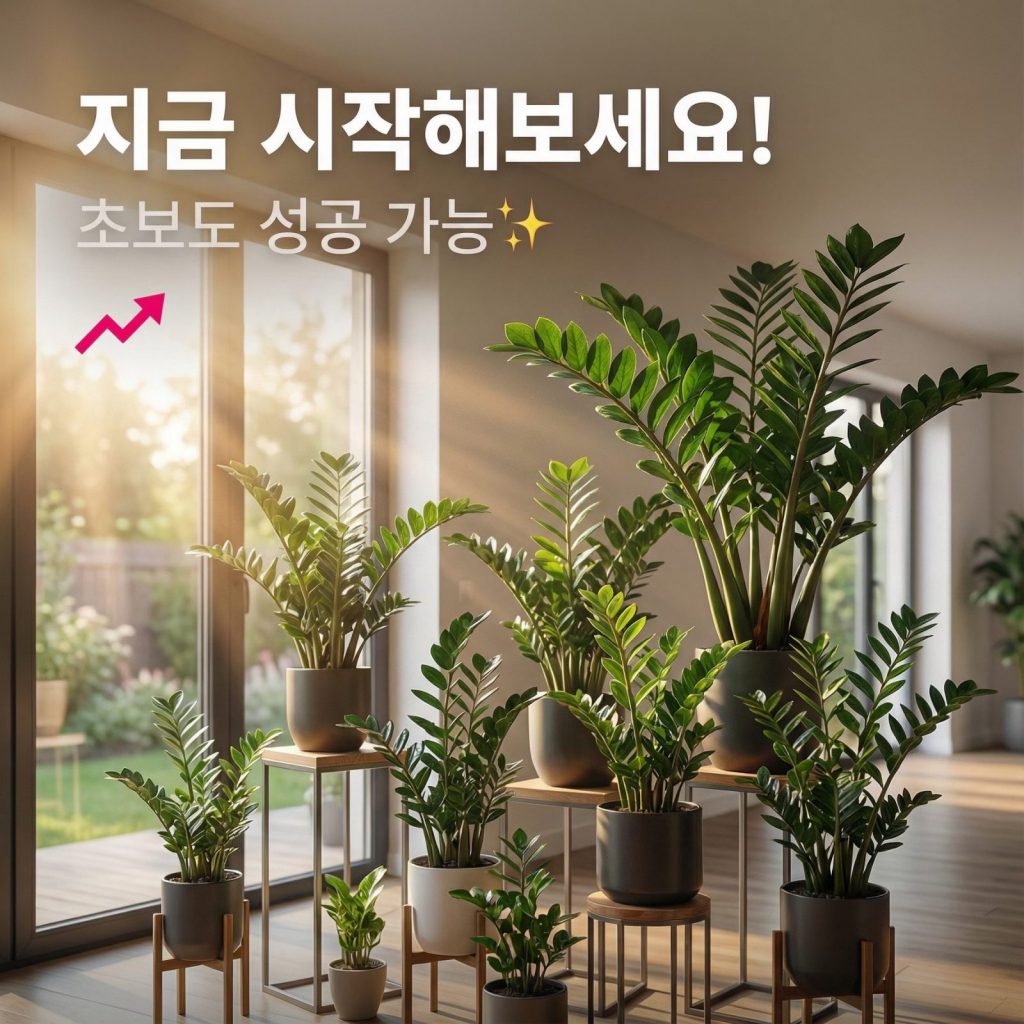 초보도 성공 가능한 금전수 키우기